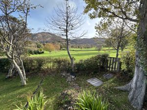 Photo 52- click for photo gallery